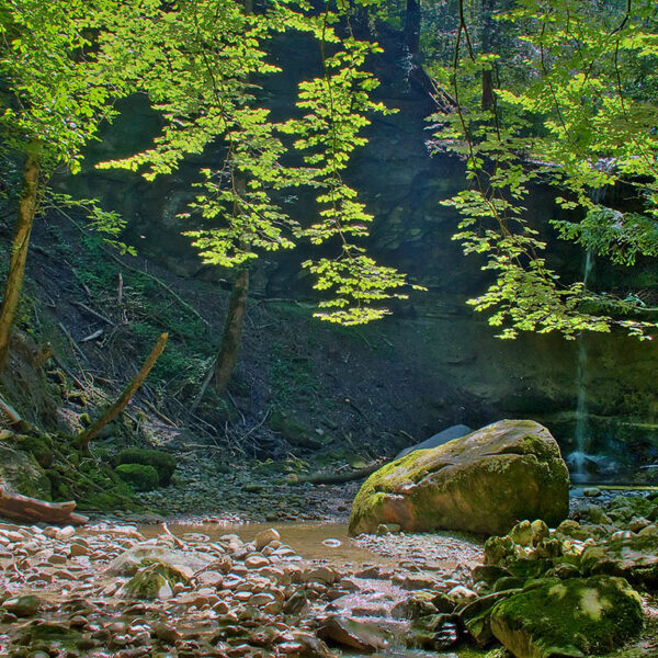 Aabach (Horgen): Bachlauf mit Steinen und Wasserfall im Wald.