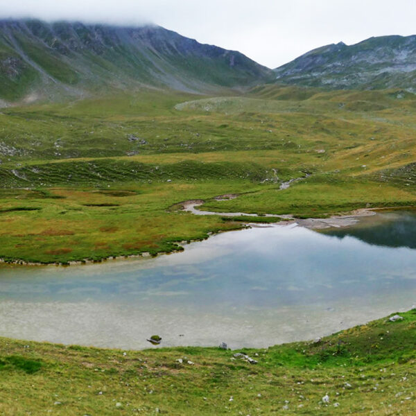 Alteinsee: Panoramablick auf Bergsee mit grünen Wiesen und bewaldeten Bergen.
