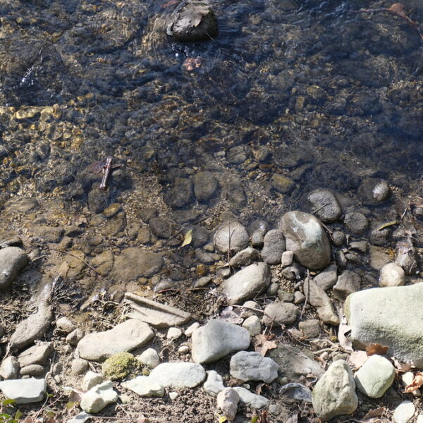 Klares Bachbett mit Steinen und fließendem Wasser.