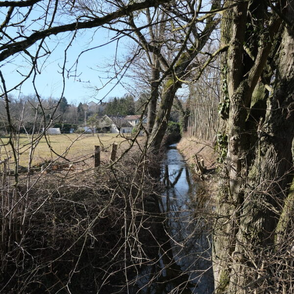 Fluss Arande im Winter, umgeben von Bäumen und Sträuchern.