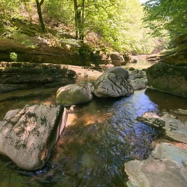 Fluss Areuse mit Felsen und Bäumen. Ruhige Waldszene am Wasser.
