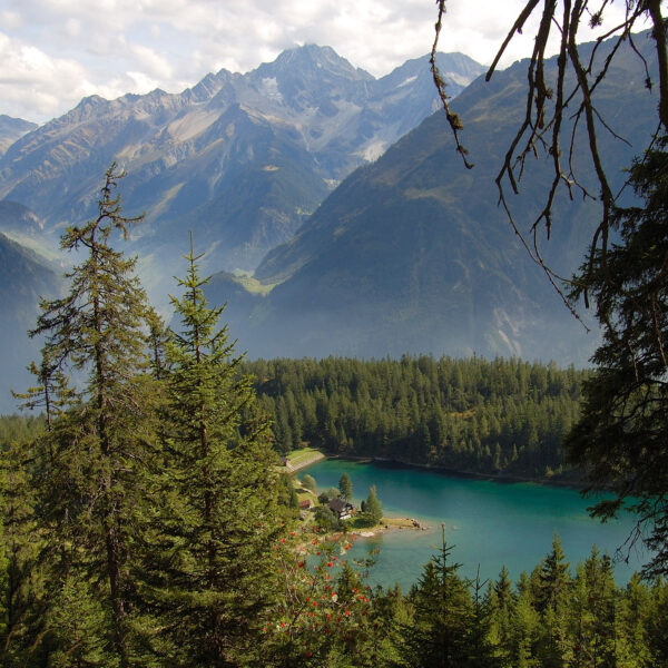 Arniseeli: Türkisblauer Bergsee in den Schweizer Alpen, umgeben von grünen Nadelbäumen und hohen Bergen.