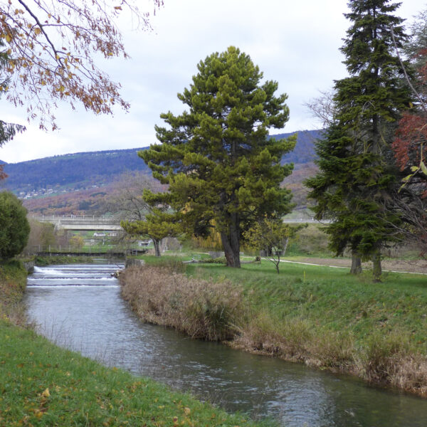 Fluss Arnon mit Bäumen und Brücke im Hintergrund. Ruhige Landschaft.