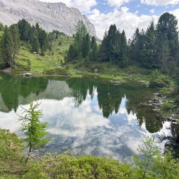 Ein ruhiger, klarer See spiegelt grüne Bäume und einen wolkenverhangenen Himmel wider, umgeben von üppigem Gras und felsigen Berghängen unter einem teilweise bewölkten blauen Himmel.