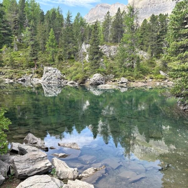 Ein klarer, ruhiger Bergsee, umgeben von Felsen und dichten grünen Kiefern, in dessen Wasser sich an einem hellen Tag die Bäume und der Himmel spiegeln.