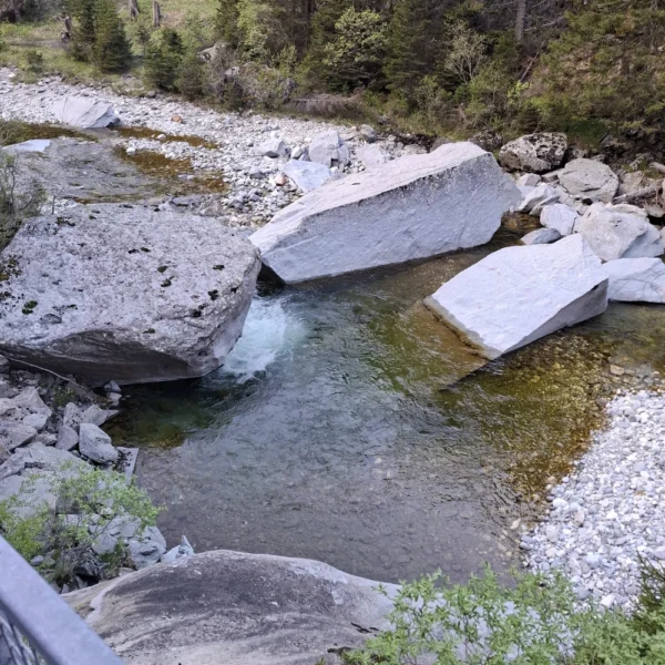 Ein klarer Fluss, der Averser Rhein, fließt zwischen großen, flachen Felsen mit grünen Bäumen an den Ufern. Im Vordergrund ist ein Teil eines Metallzauns zu sehen, während Sonnenlicht durch den Wald fällt.
