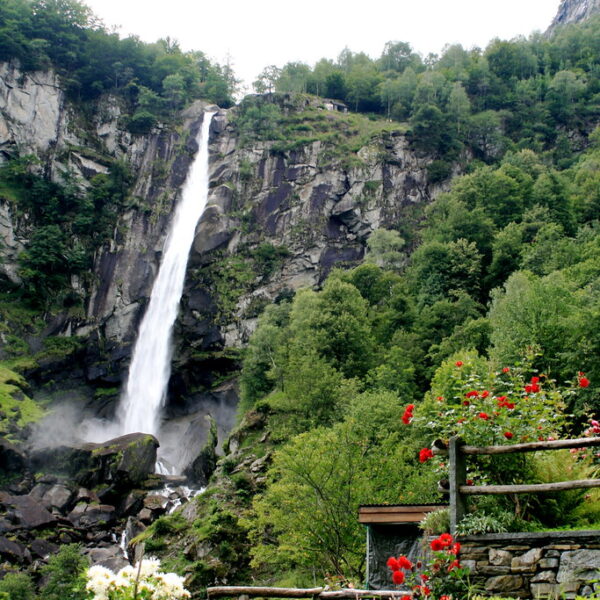 Wasserfall in Bavona, eingebettet in grüne Natur mit Felsen und Blumen