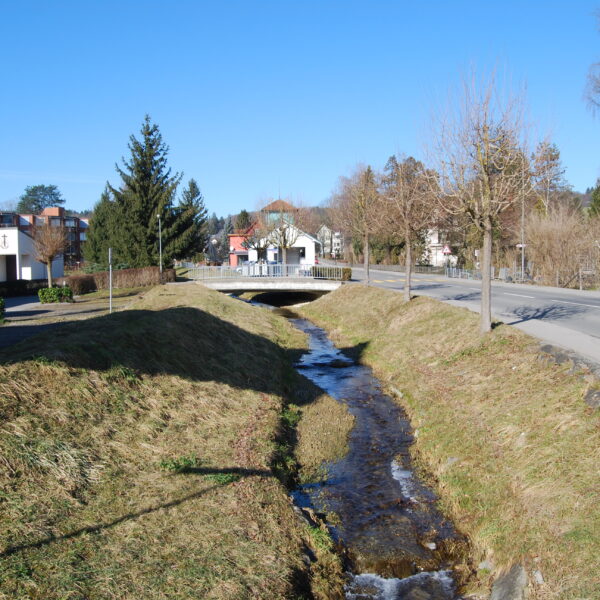Beerenbach in Müllheim fließt unter einer Brücke hindurch, mit Straße und Häusern im Hintergrund.