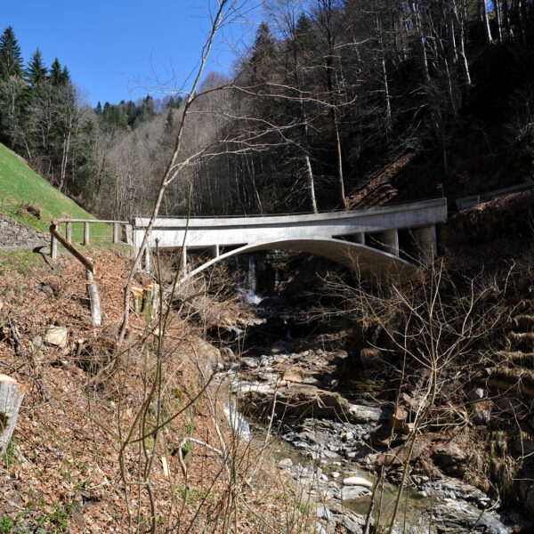 Brücke über den Bolbach-Bach in bewaldeter Landschaft.