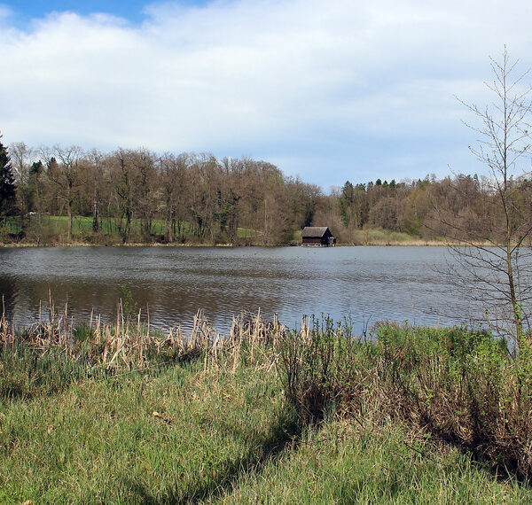Bommerweiher: Ruhiger See mit kleinem Bootshaus, umgeben von Bäumen im Frühling.