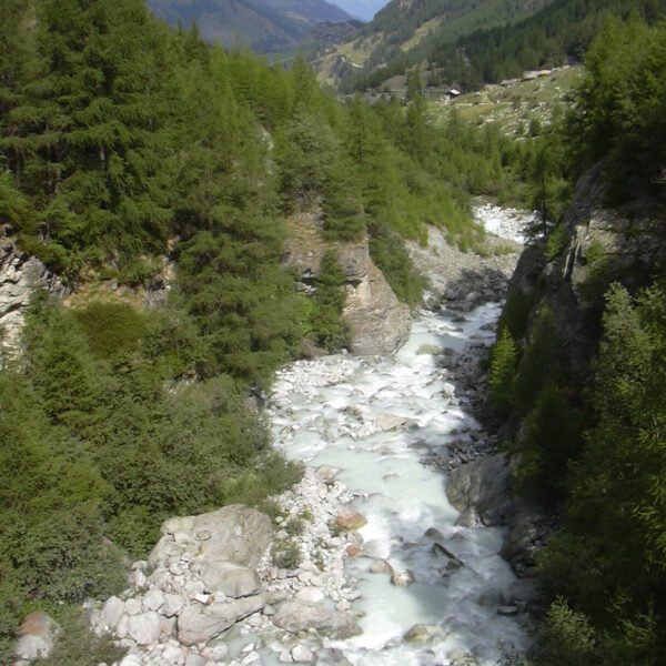 Wilder Fluss Borgne zwischen grünen Bergen.
