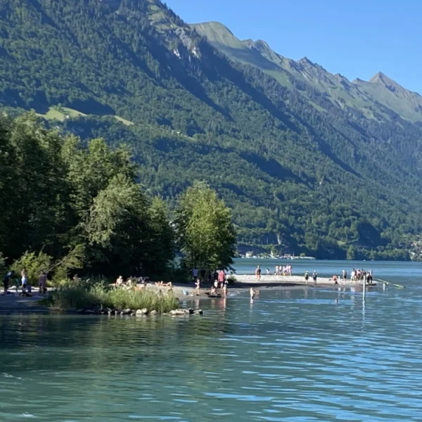 Menschen entspannen und schwimmen an einem See, umgeben von Bäumen und hohen, grünen Bergen unter einem klaren, blauen Himmel. Das Wasser ist ruhig, und Gruppen versammeln sich auf einer kleinen Halbinsel und am Ufer.