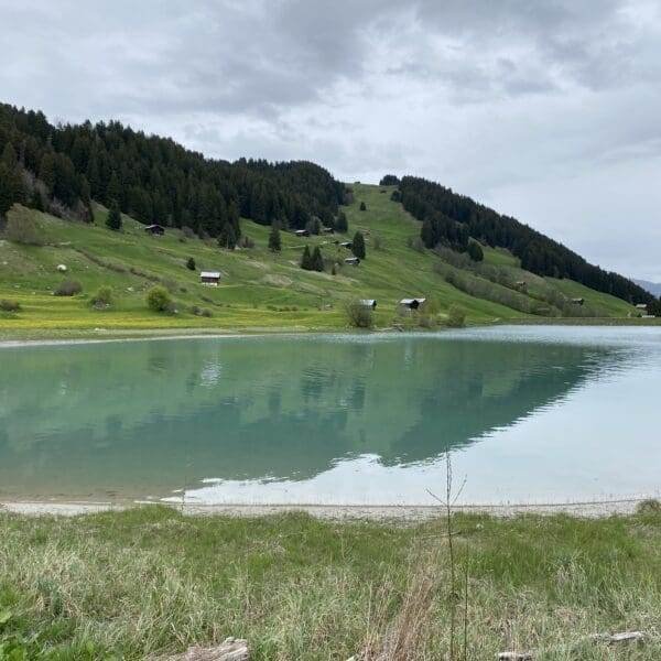 Der ruhige Brigelsersee spiegelt grüne Hügel mit Bäumen und vereinzelten Häusern unter einem bewölkten Himmel wider. Gelbe Wildblumen blühen am Hang und schaffen eine friedliche Landschaft in der Nähe des Lag da Breil.