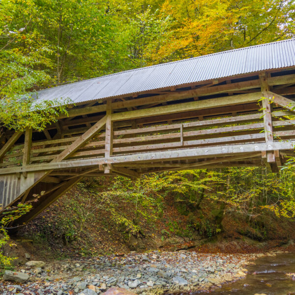 Gedeckte Holzbrücke über den Bütschelbach, umgeben von herbstlichem Laubwald.