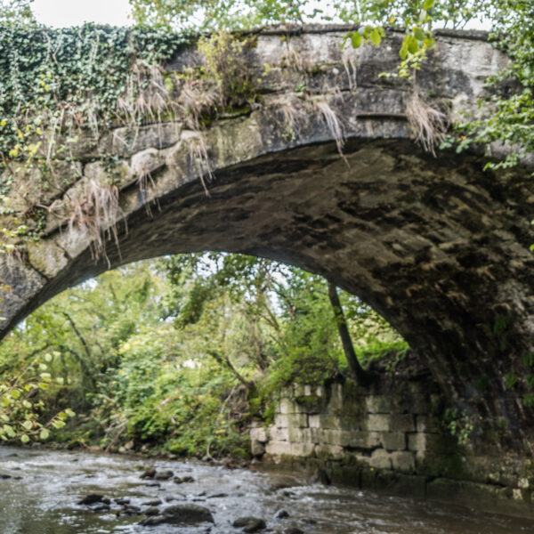 Steinbrücke über den Fluss, bewachsen mit Efeu. Carrouge.