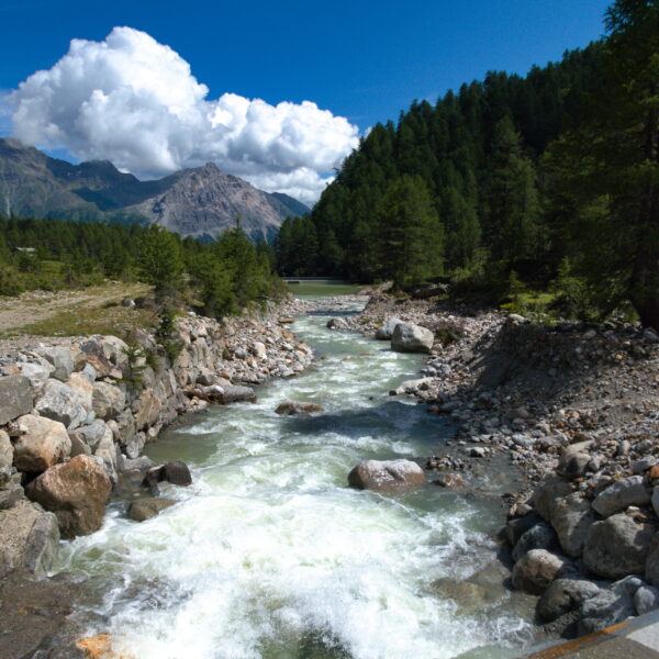 Fluss Cavagliasch in den Bergen mit Felsen und Bäumen unter blauem Himmel.