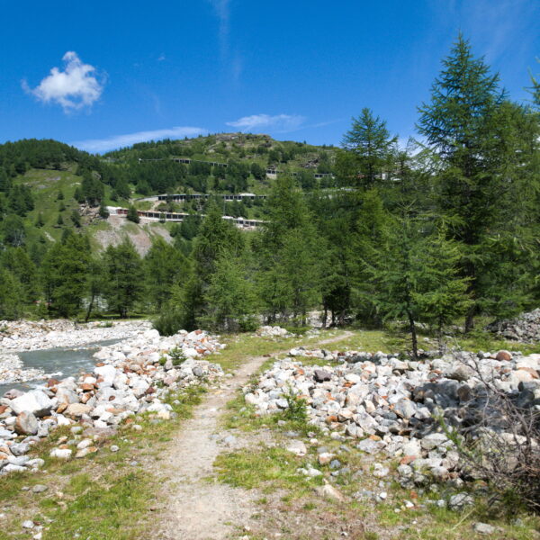 Flusslandschaft mit Felsen und Bäumen in Cavagliasch, Schweiz, unter blauem Himmel.
