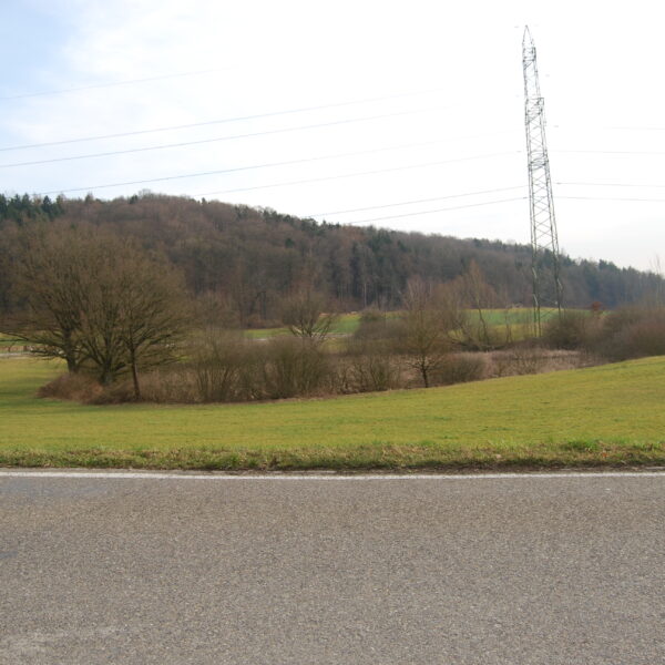 Grüne Landschaft am Chernensee mit Strommast und Wald im Hintergrund.