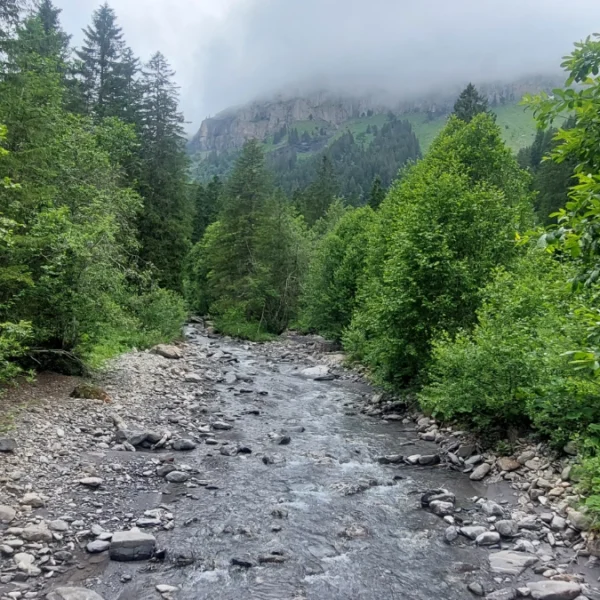Die Seez im Weisstannental