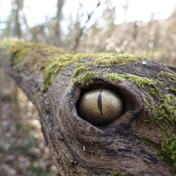 Moosbedeckter Ast mit einem goldenen Auge, das in die Ferne blickt.