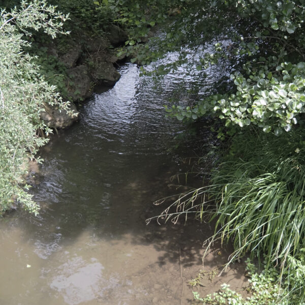 Eichibach: Bachlauf mit Ufervegetation und sanfter Strömung.