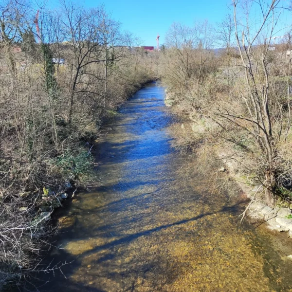 Ein klarer, flacher Fluss fließt unter einem strahlend blauen Himmel durch eine Landschaft mit kahlen Bäumen und spärlicher Vegetation. Hinter den Bäumen sind teilweise Gebäude in der Ferne zu sehen.