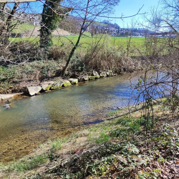 Unter einem strahlend blauen Himmel fließt ein klarer Bach durch eine grasbewachsene, von Bäumen gesäumte Gegend. An einem Ufer liegen Steine, im Hintergrund sind in der Ferne Hügel zu sehen.