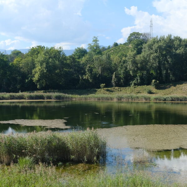 Idyllischer Étang Jacques Burnier See mit Bäumen und Schilf im Grünen.