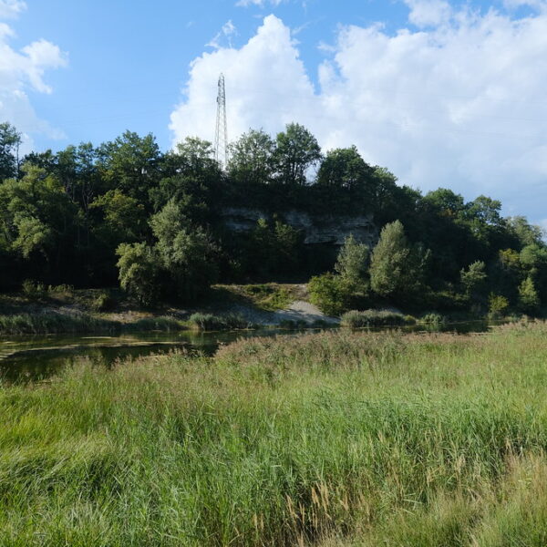 Étang Paul Géroudet: Landschaft mit Teich, Gras und Bäumen unter blauem Himmel.