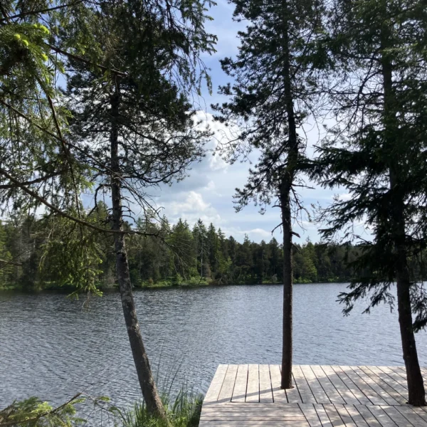 Ein Holzsteg erstreckt sich in den ruhigen See Étang de la Gruère in der Schweiz, umgeben von hohen immergrünen Bäumen unter einem teilweise bewölkten Himmel. In der friedlichen Naturschutzgebietsszenerie wird der Steg teilweise von überhängenden Ästen beschattet.