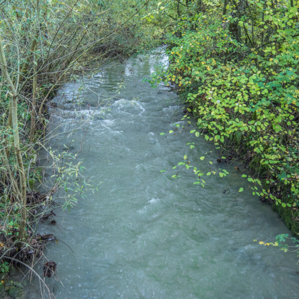 Etzgerbach Bachlauf mit üppiger Vegetation an den Ufern.
