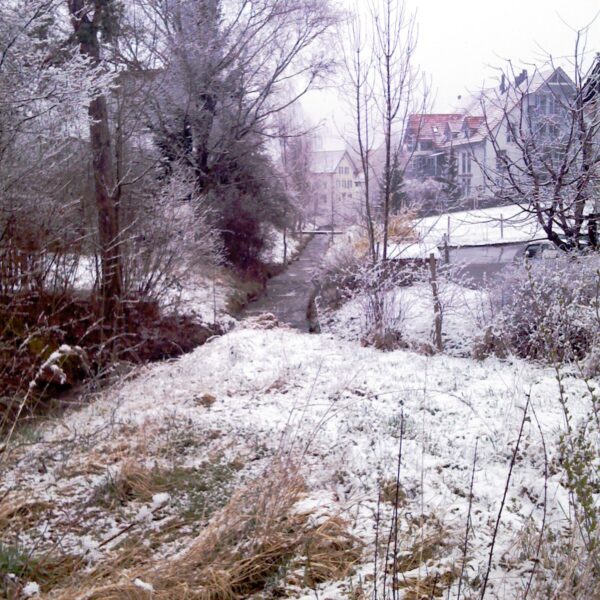 Winterliche Landschaft am Eulachbach mit Schnee und Bäumen in Winterthur.