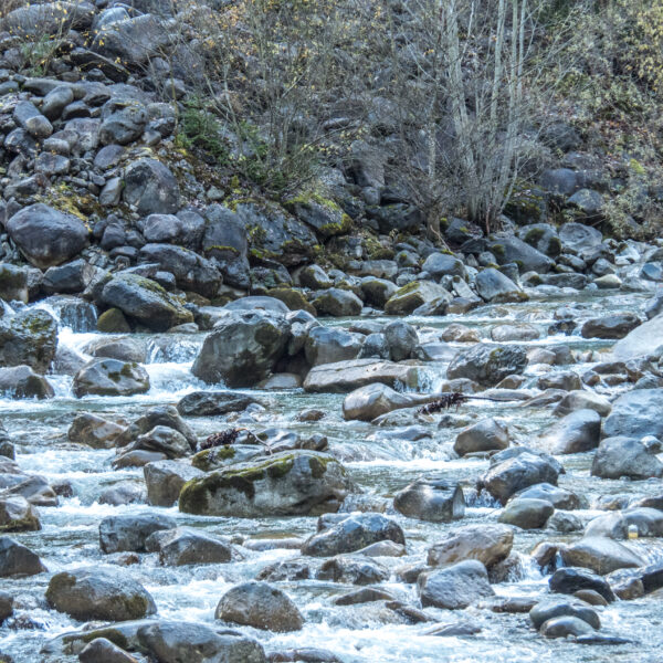 Fließender Bach mit Felsen im Fildrich-Gebiet.