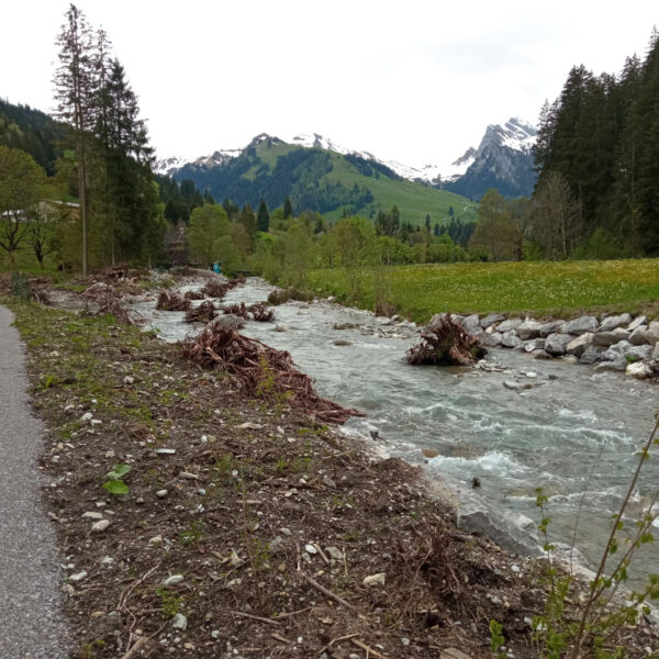 Fildrich Bach mit Treibholz und Alpenpanorama. Wanderweg am Ufer.