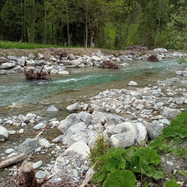 Klarer Fluss Fildrich mit Steinen und Bäumen am Ufer.