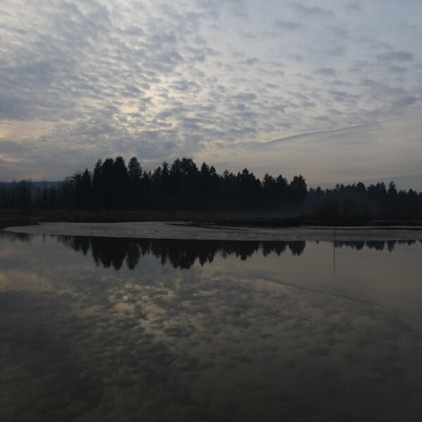 Flachsee-Landschaft: Ruhiger See mit Spiegelung des Himmels und der Bäume am Ufer.