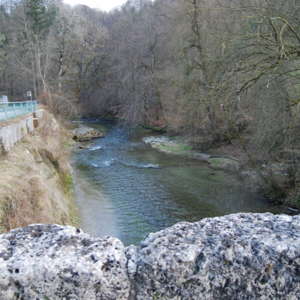 Fluss Glâne schlängelt sich durch bewaldete Landschaft, aufgenommen von einer Steinbrücke.