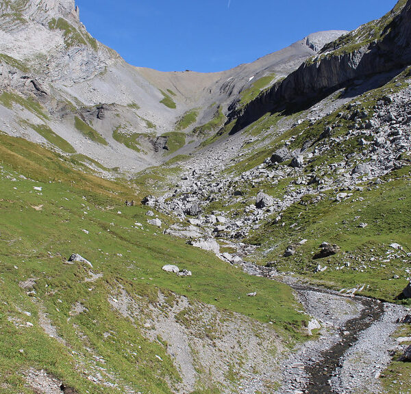Grüne Landschaft mit Bachlauf in Glattalpseebach-Tal, umgeben von Bergen.