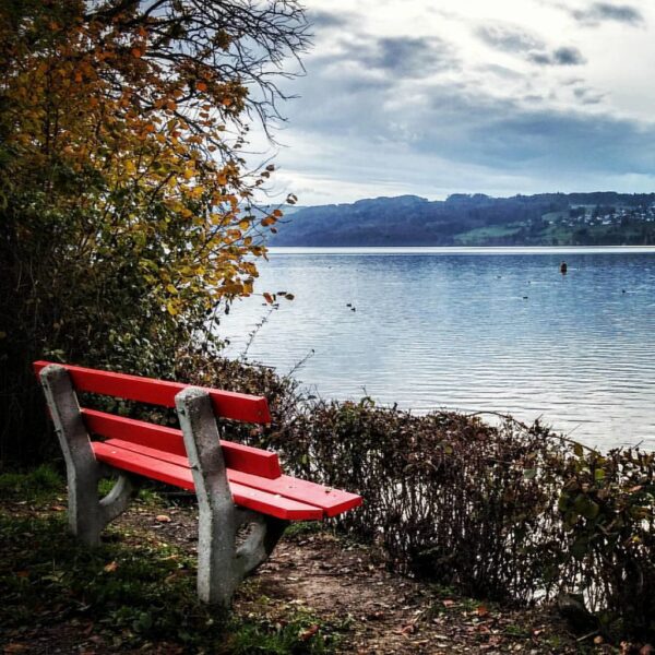 Rote Bank am Hallwilersee mit Blick auf den See und bewölktem Himmel.