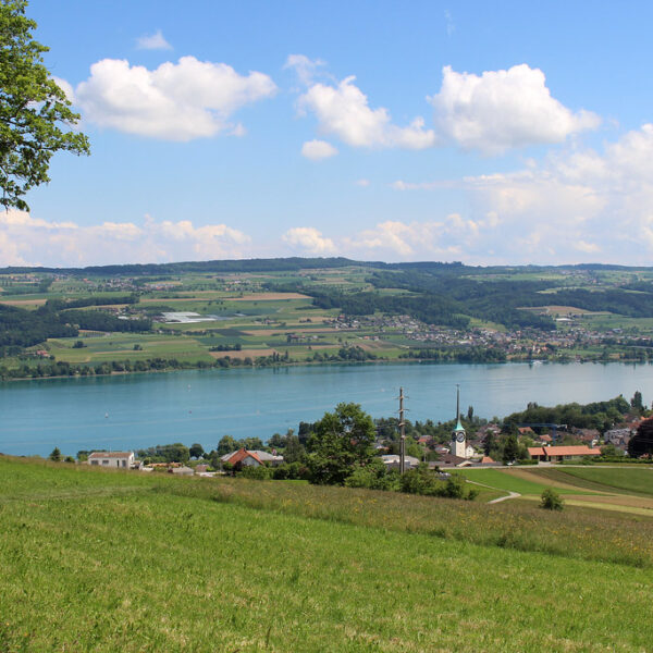 Hallwilersee: Landschaft mit See, grünen Feldern und blauem Himmel.