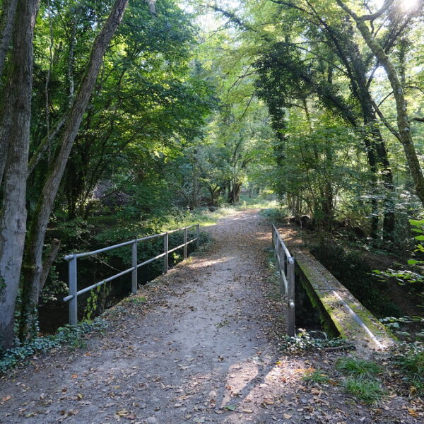 Brücke im Wald von Hermance. Wegweiser 