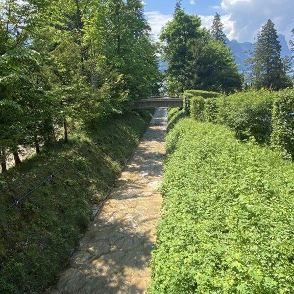 An einem sonnigen Tag mit blauem Himmel und vereinzelten Wolken fließt ein schmaler, schlammiger Bach zwischen grünen, belaubten Bäumen und Büschen unter einer kleinen Brücke hindurch.