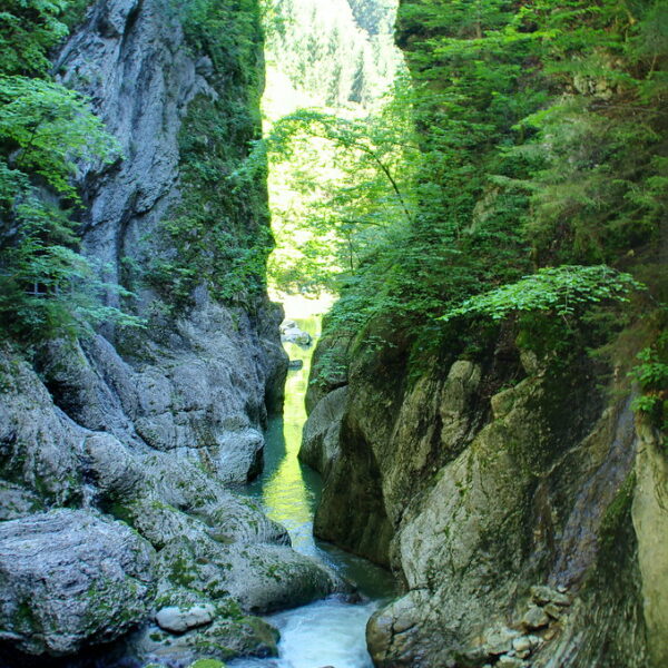 Jaunbach-Schlucht: Fluss zwischen steilen Felswänden mit üppigem Grün.