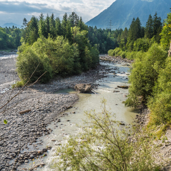 Kander Fluss in einer alpinen Landschaft mit Bäumen und Bergen im Hintergrund