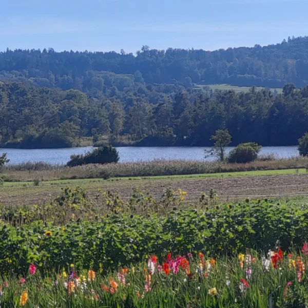 Katzensee bei Regensdorf