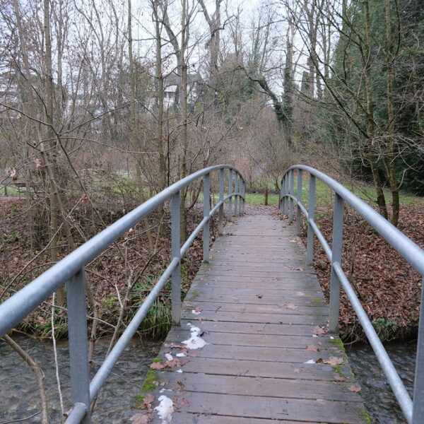 Holzbrücke über La Drize im winterlichen Park.