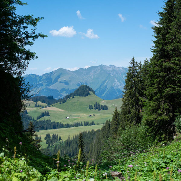 Grüne Landschaft mit Bergen im Hintergrund, gesehen vom Lac Lioson.
