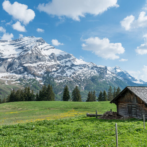 Hütte vor schneebedeckten Bergen am Lac Retaud, grüne Wiese und blauer Himmel.