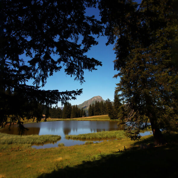 Lac de Conche: Ruhiger Bergsee mit Spiegelung und grüner Landschaft im Sommer.