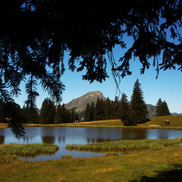 Lac de Conche: Ruhiger Bergsee mit Spiegelung und grüner Landschaft im Sommer.